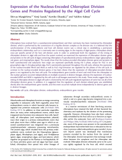 Expression of the Nucleus-Encoded Chloroplast