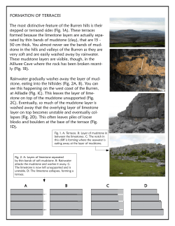 FORMATION OF TERRACES Rainwater gradually washes away the
