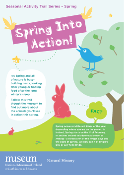 Spring Into Action! - National Museum of Ireland