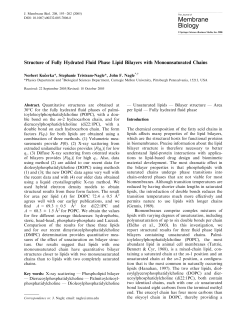 Structure of Fully Hydrated Fluid Phase Lipid Bilayers with