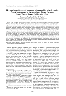 Fire and persistence of montane chaparral in mixed conifer forest