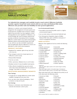 Dow Chemical Company