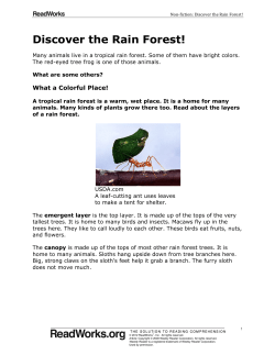 Discover the Rain Forest! - Covington Independent Public Schools