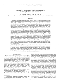 Halogen-rich scapolite and biotite: Implications for metamorphic fluid