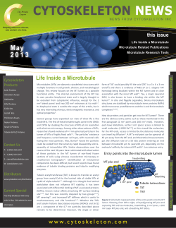 Life Inside a Microtubule