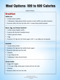 Meal Options: 500 to 600 Calories