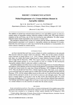 Nickel Requirement of a Urease-deficient Mutant in