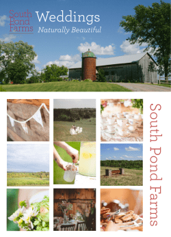 SPF-Wedding PDF-2018