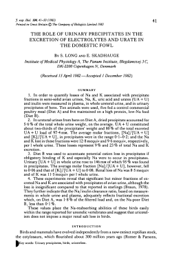 the role of urinary precipitates in the excretion of electrolytes and