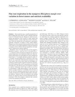 Fine root respiration in the mangrove Rhizophora mangle over