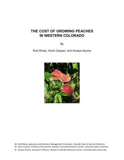 the cost of growing peaches in western colorado