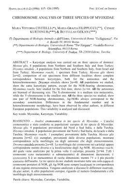 chromosome analysis of three species of myoxidae