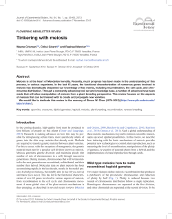 Tinkering with meiosis - Oxford Academic