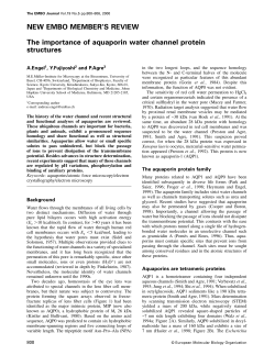 The importance of aquaporin water channel protein structures