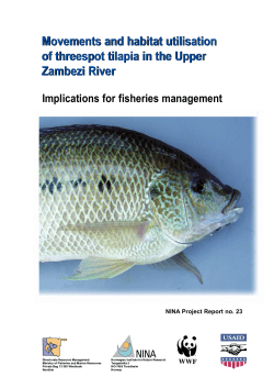 Movements and habitat utilisation of threespot tilapia in the Upper