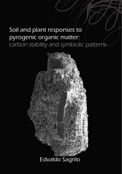 Soil and plant responses to pyrogenic organic matter: carbon