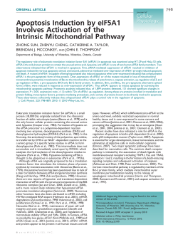 Apoptosis induction by eIF5A1 involves activation of the intrinsic
