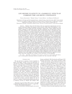 life history plasticity in a damselfly: effects of