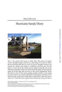 Hurricane Sandy Diary