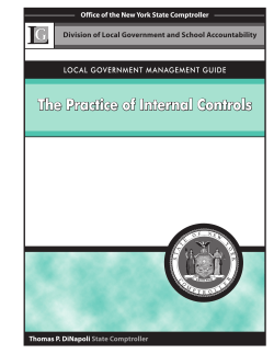 The Practice of Internal Controls
