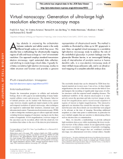 Generation of ultra-large high resolution electron microscopy maps