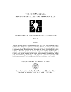 Toward a Pluralistic Theory on an Efficacious Patent Institution, 6 J