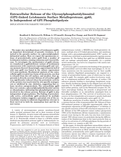 (GPI)-linked Leishmania Surface Metalloprotease, gp63, Is