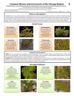Common Mosses and Liverworts of the Chicago Region