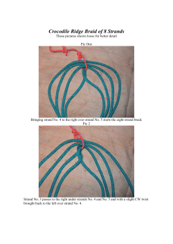 Crocodile Ridge Braid of 8 Strands