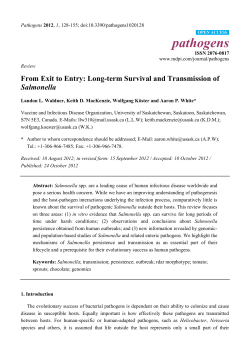 From Exit to Entry: Long-term Survival and Transmission of Salmonella