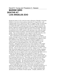 Marine Bird Deaths at Los Angeles Zoo