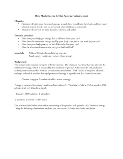 How Much Energy Is That Anyway? activity sheet