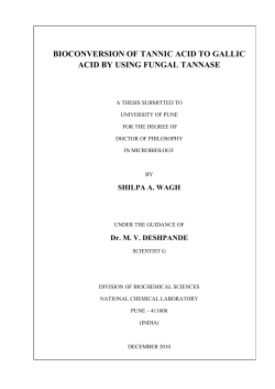 Bioconversion of tannic acid to gallic
