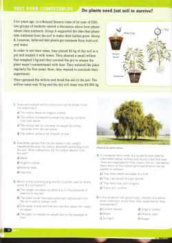 Do plants need iust soil to survive?