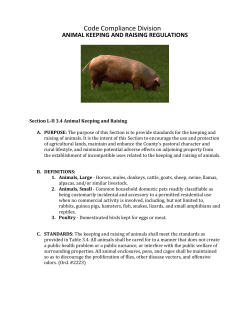 Code Compliance Division