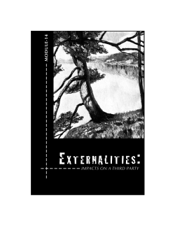 ELM #14 Externalities