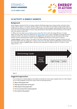 C2 Activity 4: Energy Sankeys