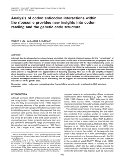 Analysis of codon: anticodon interactions within the ribosome