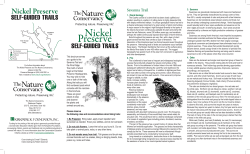 Nickel Preserve - The Nature Conservancy