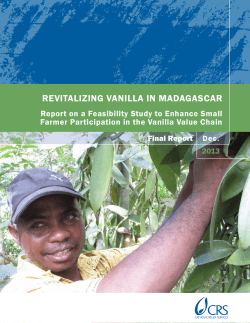REVITALIZING VANILLA IN MADAGASCAR