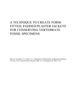 a technique to create form-fitted, padded plaster jackets for