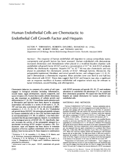 Human Endothelial Cells Endothelial Cell Growth are Chemotactic