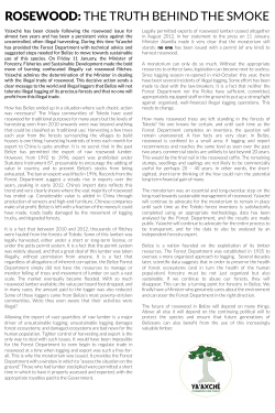 ROSEWOOD: THE TRUTH BEHIND THE SMOKE