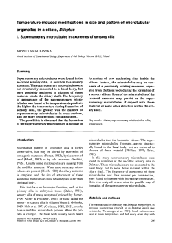 Temperature-induced modifications in size and pattern of