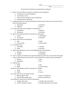 Name: Date: Animal Quiz #2: Endothermic and Ectothermic
