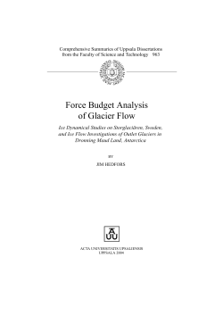 Force Budget Analysis of Glacier Flow