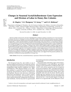 Learning and Memory and Division of Labor