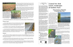 Every Curb Is a Shoreline in Central New York