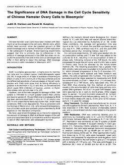 The Significance of DNA Damage in the Cell Cycle Sensitivity of