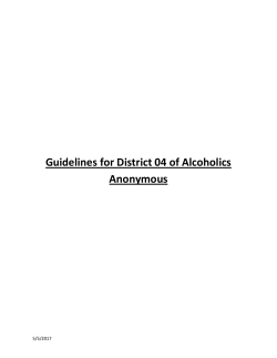 Dist. 04 Guidelines